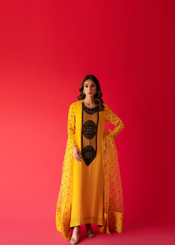 Sammy K | Taara Collection | SITARA - Seharnaz